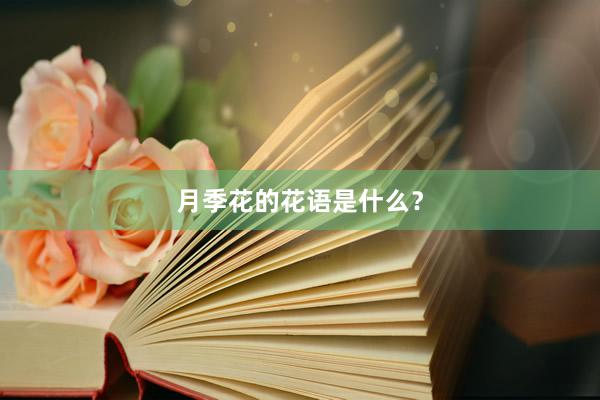 月季花的花语是什么？