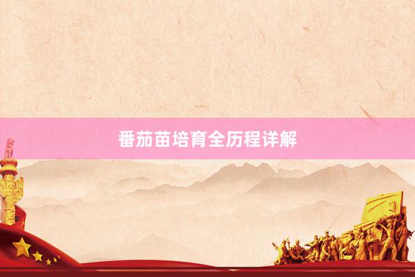番茄苗培育全历程详解