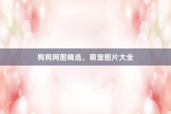 狗狗网图精选，萌宠图片大全