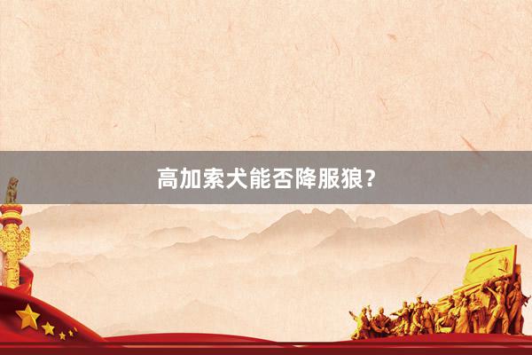 高加索犬能否降服狼？